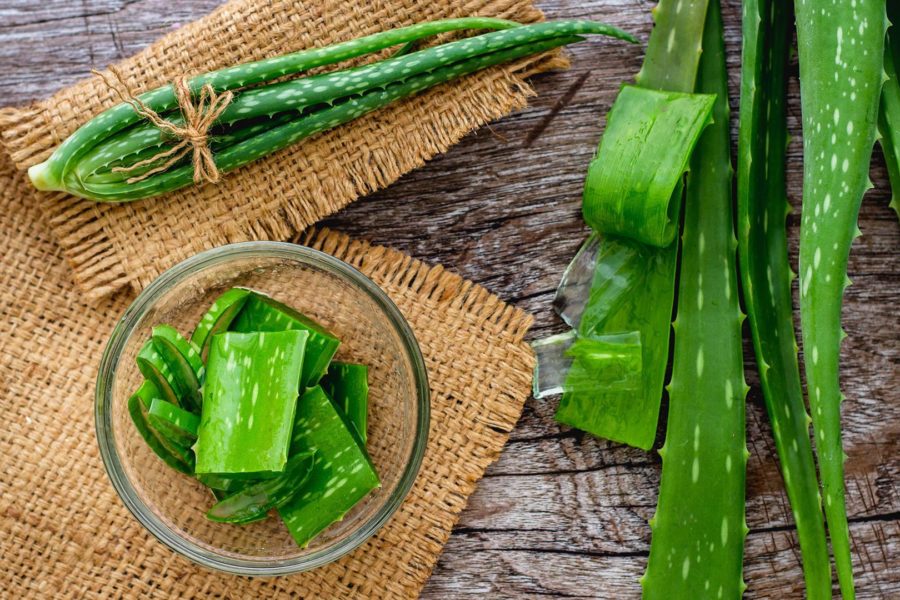 Aloe Vera Nedir? Aloe Vera Faydaları Nelerdir?