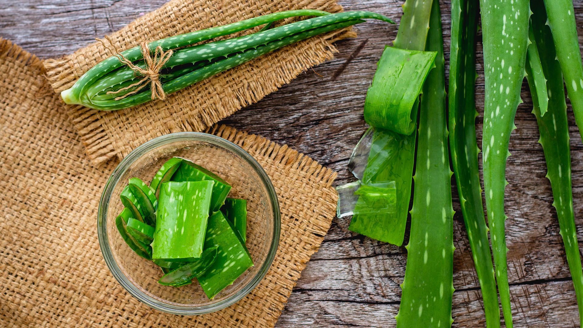 Aloe Vera Nedir? Aloe Vera Faydaları Nelerdir?